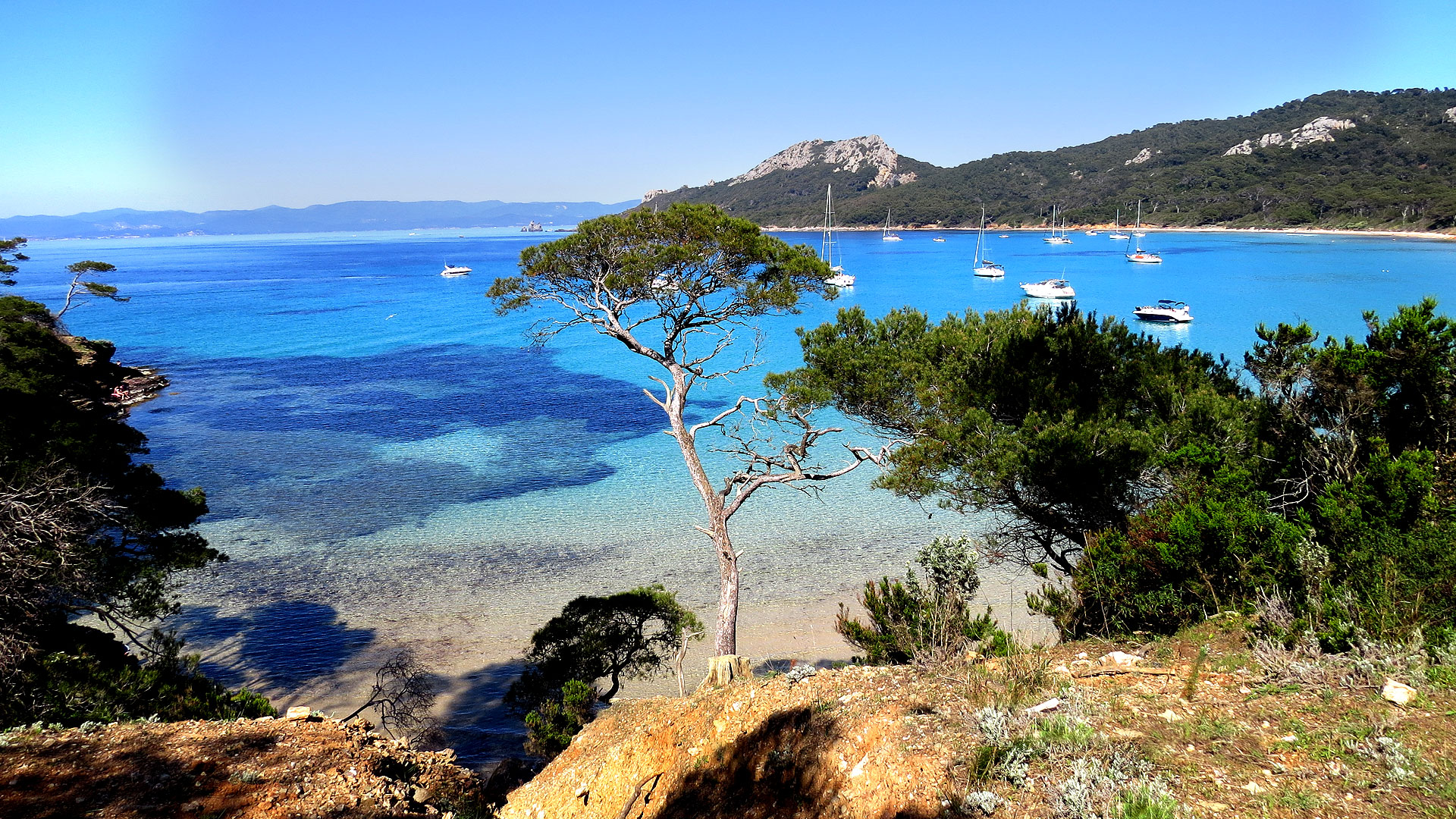 Port-Cros, Le Premier Parc Terrestre Et Marin D'Europe - Photos Futura